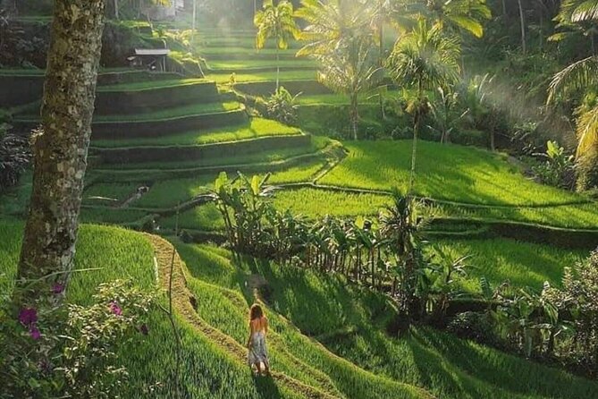 Best of Ubud: All-Inclusive Private Tour with Local Guide - Tirta Empul, Bali’s sacred water temple