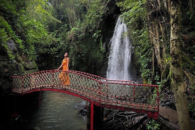 Best of Ubud: All-Inclusive Private Tour with Local Guide - Sacred Monkey Forest Sanctuary, the lively final stop