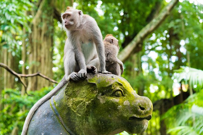 Best of Ubud Attractions: Private All-Inclusive Tour - Mas Carving Center: Seeing Bali’s Art in the Making