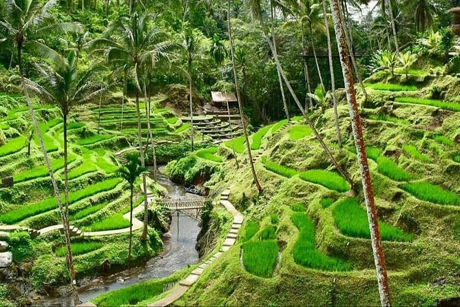 Best of Ubud Full Day Private Guided Tour - Happy Swing Bali and the photo stop