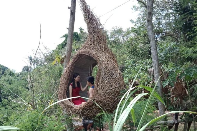 Best of Ubud Full Day Private Guided Tour - Tegalalang Rice Terrace and lunch