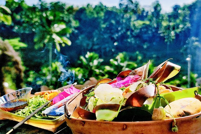 Best of Ubud - Full day Tour + FREE WI-FI - A long Ubud day from Seminyak