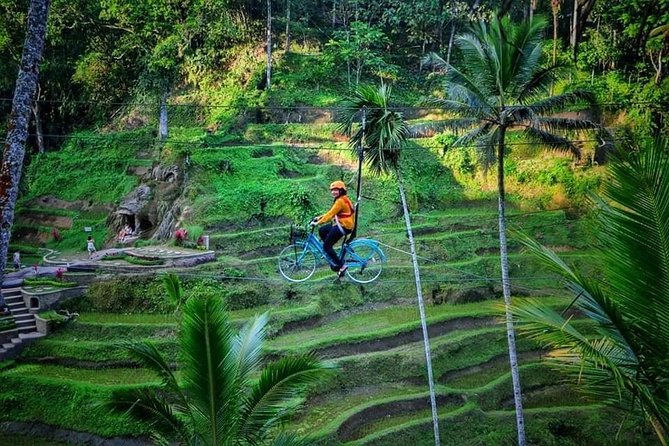 Best of Ubud - Full day Tour + FREE WI-FI - Celuk Village and the extra stops