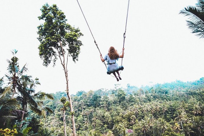 Best of Ubud Full-Day Tour with Jungle Swing - Why this Ubud day tour works for first-time visitors