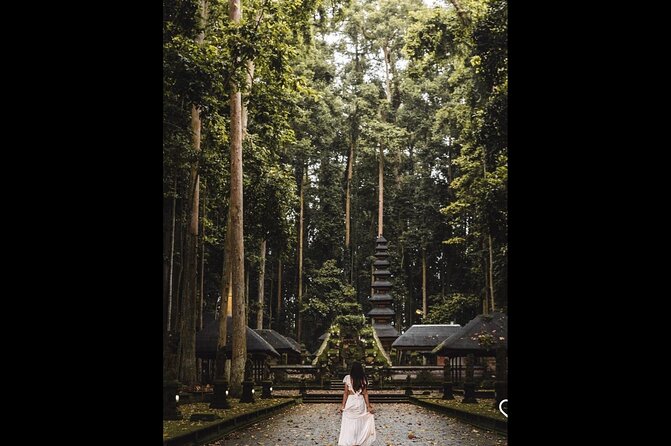 Best of Ubud: Jungle, Temples & Swing - Tegalalang shows Bali’s working rice country