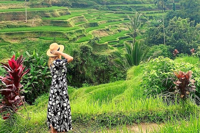 Best of Ubud - Kintamani Volcano View - Private Tour - Tegallalang Rice Terrace in a 30-minute visit