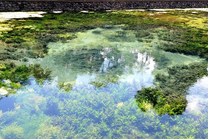 Best of Ubud - Kintamani Volcano View - Private Tour - What the private guide adds to the day