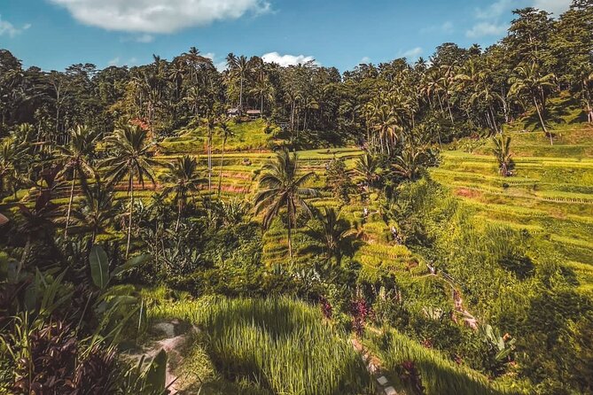 Best Of Ubud Private Day Tour With Local Guide - Celuk Village: 30 minutes with Bali’s gold and silver craft