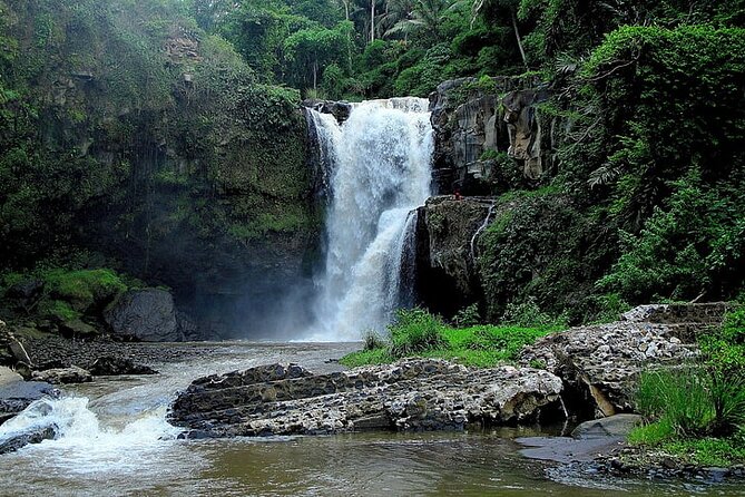 Best Of Ubud Private Day Tour With Local Guide - Eight hours in a private car, with traffic in the equation