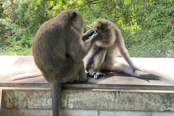 Best Of Ubud Private Day Tour With Local Guide - Is $51.51 per person good value?
