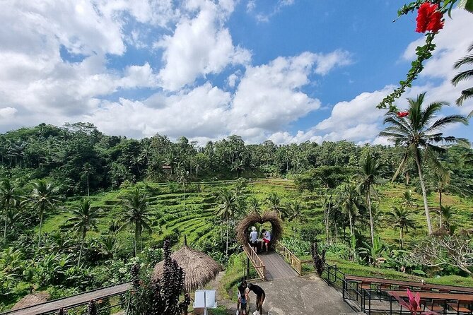 Best of Ubud Private Tour with Jungle Swing Experience - Why this private Ubud day works well