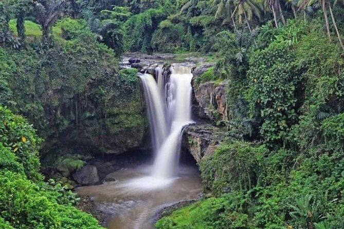 Best of Ubud Private Tour with Jungle Swing Experience - Sacred Monkey Forest Sanctuary adds wildlife and shade