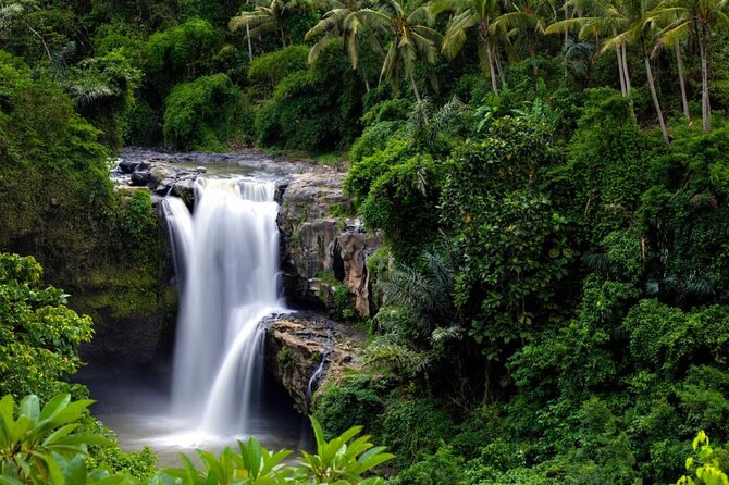 Best of Ubud: Rice Terrace, Temple and Waterfall Private Tour - Campuhan Ridge Walk offers a quieter hour