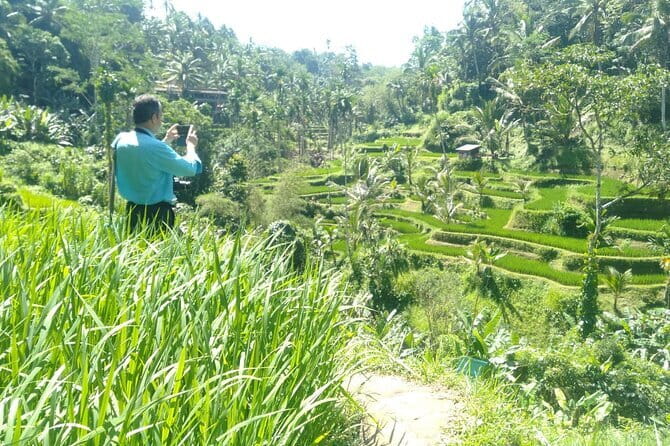 Best Of Ubud Scenic Full Day Private Guided Tour - Key points to know before booking