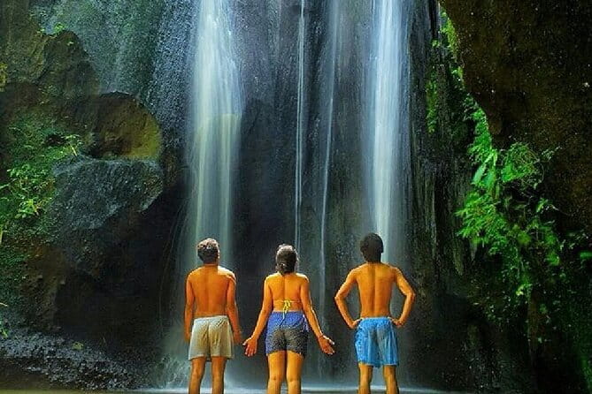 Best Of Ubud Scenic Full Day Private Guided Tour - Happy Swing Bali and the photo stop