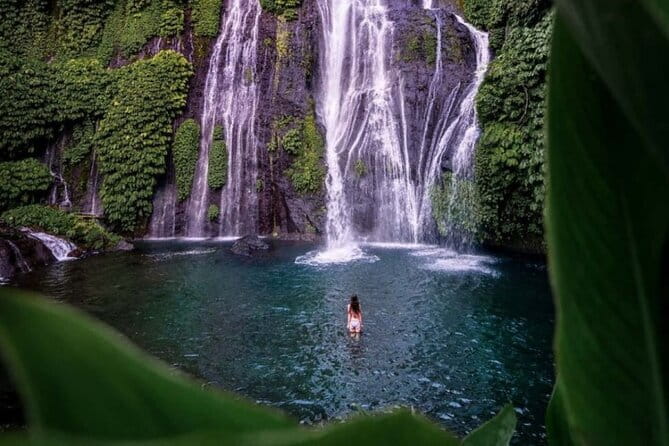 Best Of Ubud Scenic Full Day Private Guided Tour - Tampaksiring coffee and tea garden