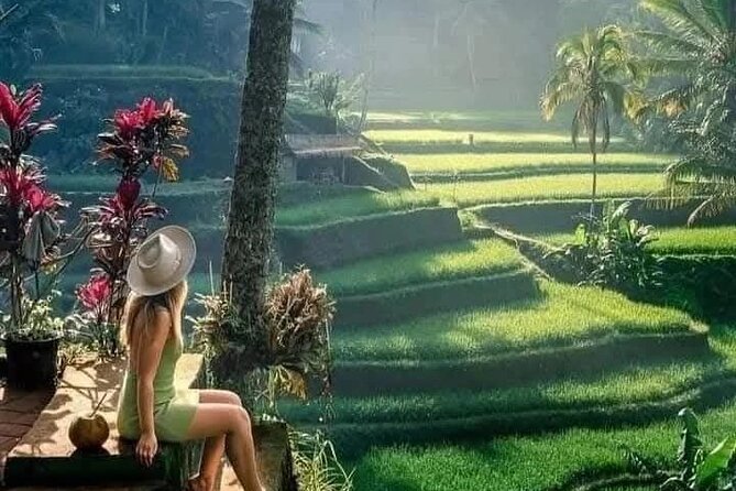 Best of Ubud Sightseeing Private All Inclusive Tour - A Full Ubud Day From Kuta