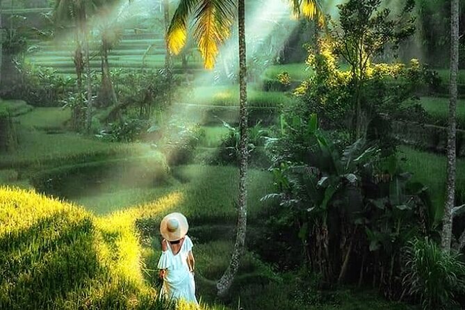 Best of Ubud Tour: Monkey Forest, Rice Terraces & Waterfall - Add-ons that may improve or crowd the day