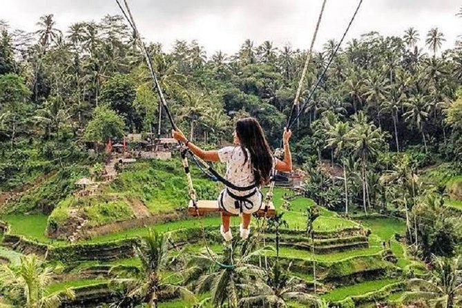 Best of Ubud Tour with Jungle Swing Private and All Inclusive - Alas Harum jungle swing: a fun, polished photo stop