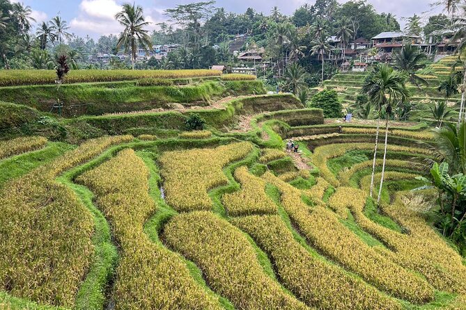 Best of Ubud - Ubud Tour Popular - All Inclusive - Puseh Batuan Temple: Detail in a village setting