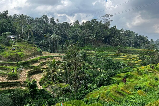 Best of Ubud - Ubud Tour Popular - All Inclusive - Pickup, driving, and the value of a private car