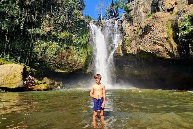 Best of Ubud Waterfalls, Tegalalang Rice Terrace & Jungle Swing - Starting at Tegenungan Waterfall