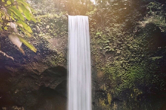 Best of Ubud Waterfalls, Tegalalang Rice Terrace & Jungle Swing - Walking the Tegalalang Rice Terrace