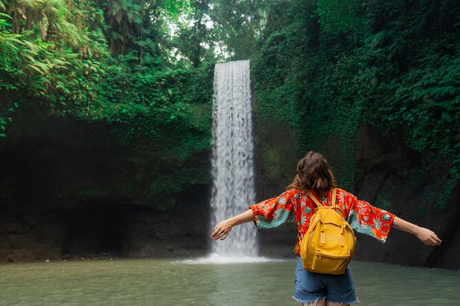 Best of Ubud: Waterfalls, Temple & Rice Terraces Private Day Tour - Key points at a glance