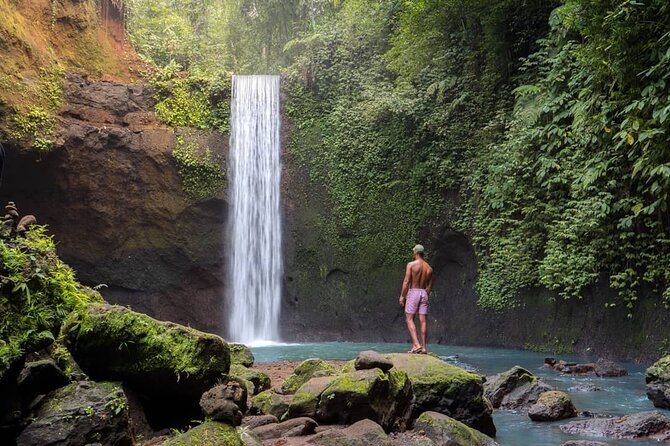 Best of Ubud: Waterfalls, Temple & Rice Terraces Private Day Tour - A Bali coffee plantation and tasting stop