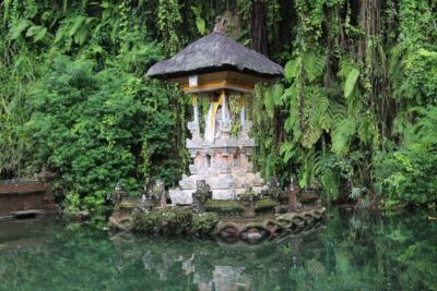 Best of Ubud with Jungle Swing Experience