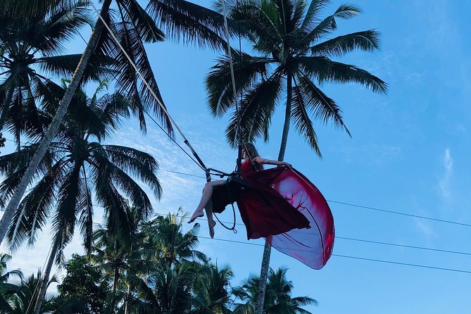 Best of Ubud with Jungle Swing Experience - Ubud Palace and the Sacred Monkey Forest