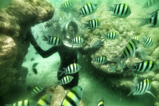 Best Package 3 in One Water Sport - Transfers make the short schedule easier