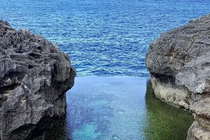 Best Seller West Nusa Penida Island Private Guided Tour - The private vehicle and guide make the difference