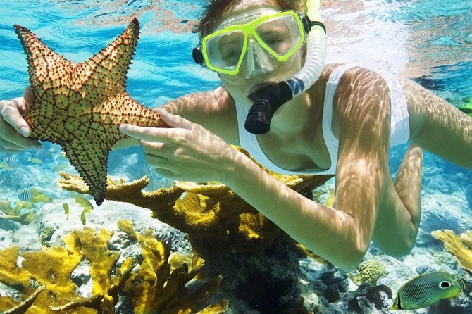 Best Snorkeling Trip at Blue Lagoon Bali - From your hotel to Padang Bai Fishing Village