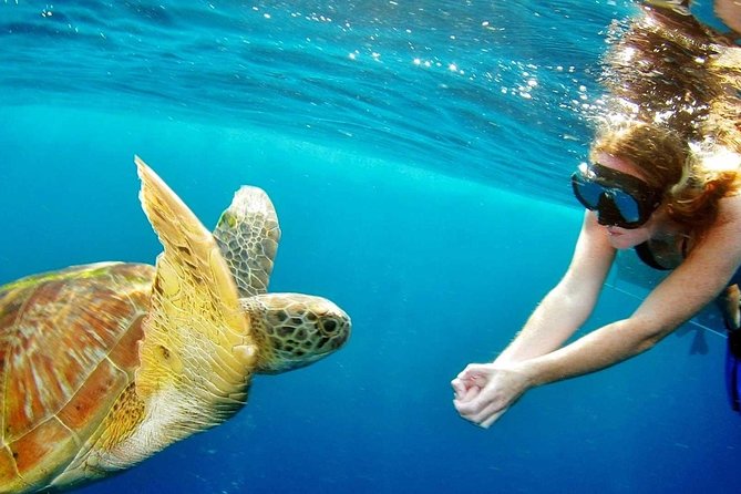 Best Snorkeling Trip at Blue Lagoon Bali - Tanjung Jepun, the possible star of the day