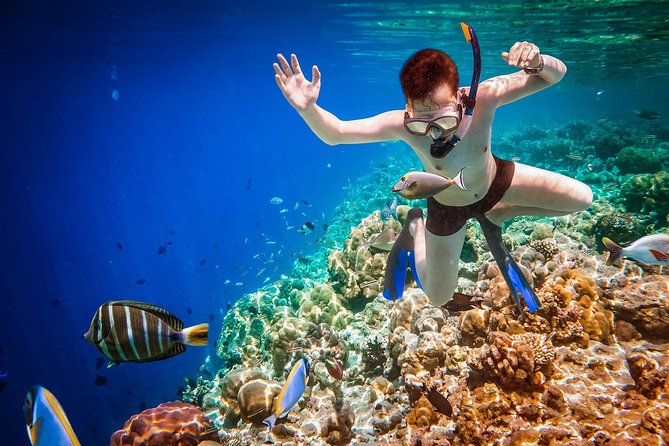 Best Snorkeling Trip at Blue Lagoon Bali - What the boat and guide add
