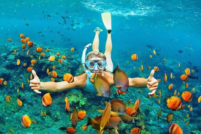 Best Snorkeling Trip at Blue Lagoon Bali - Who will enjoy this Bali snorkeling trip?