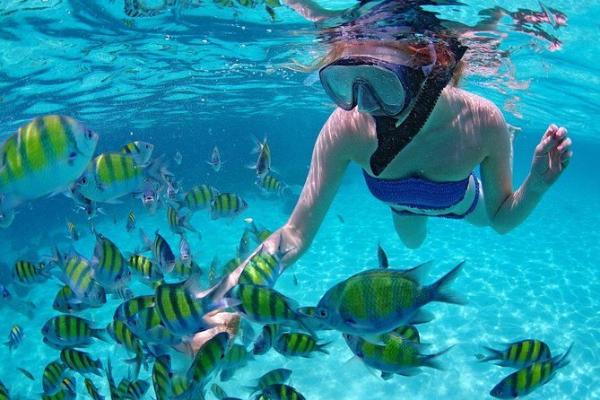 Best Snorkeling Trip at Blue Lagoon Bali - Tips for getting more from the day