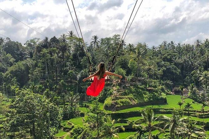 Best Ubud Tour Private Tour All Inclusive Package - Leaving Kuta for Ubud