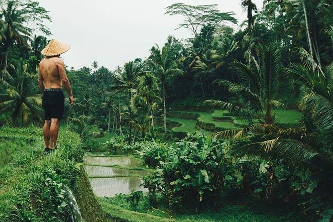 Best Ubud Tours -All inclusive with private driver - Key points to know before you book