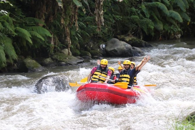 Best White Water Rafting in Bali - Is $36.70 good value?
