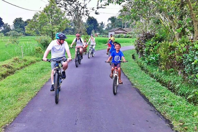 Bike ride in the rice fields, Bali countryside - Finishing With Lunch Beside Fields and a River