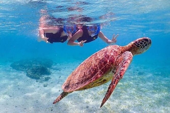 Bloo Lagoon Snorkeling East Bali Includes Transportation & Lunch - Why Blue Lagoon works so well for a first snorkeling day