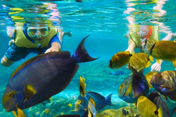 Bloo Lagoon Snorkeling East Bali Includes Transportation & Lunch - The Lempuyang Gates of Heaven upgrade