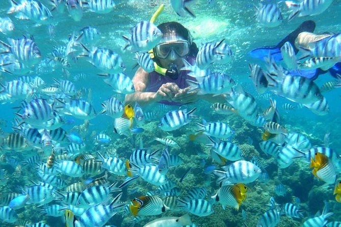 Bloo Lagoon Snorkeling East Bali Includes Transportation & Lunch - What the $82.50 price really covers