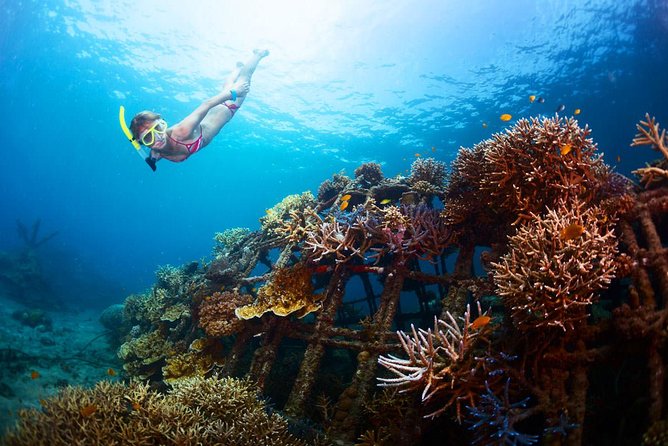 Bloo Lagoon Snorkeling East Bali Includes Transportation & Lunch - Drivers who shape the day