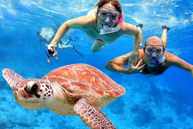 Blow Lagoon Bali Snorkeling and see Bali Bats Cave Temple - A private route from your hotel to Padang Bai
