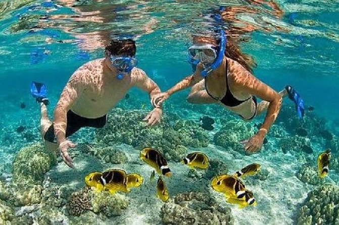 Blue Lagoon Snorkeling and Lunch - Kanto Lampo - Suwat Waterfall - All inclusive - Indonesian lunch at Topi Inn