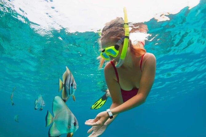 Blue Lagoon Snorkeling and Lunch - Ubud Monkey Forest - Waterfall - Why this Bali day works so well