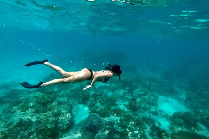 Blue Lagoon Snorkeling and Lunch - Ubud Monkey Forest - Waterfall - Shower, change, and lunch at Topi Inn